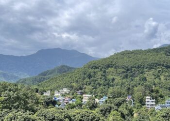 पोखराको १३५ रोपनी लिची बगैंचा हडप्न मन्त्री–बिचौलिया ‘घुस डिल’