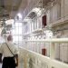 Justice Secretary orders urgent review after prison blunders